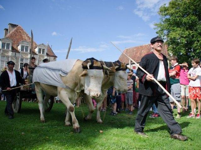 Foire de la Blonde d'Aquitaine