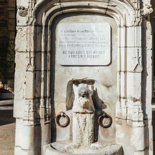 Fontaine Du Sanglier Salies De Bearn