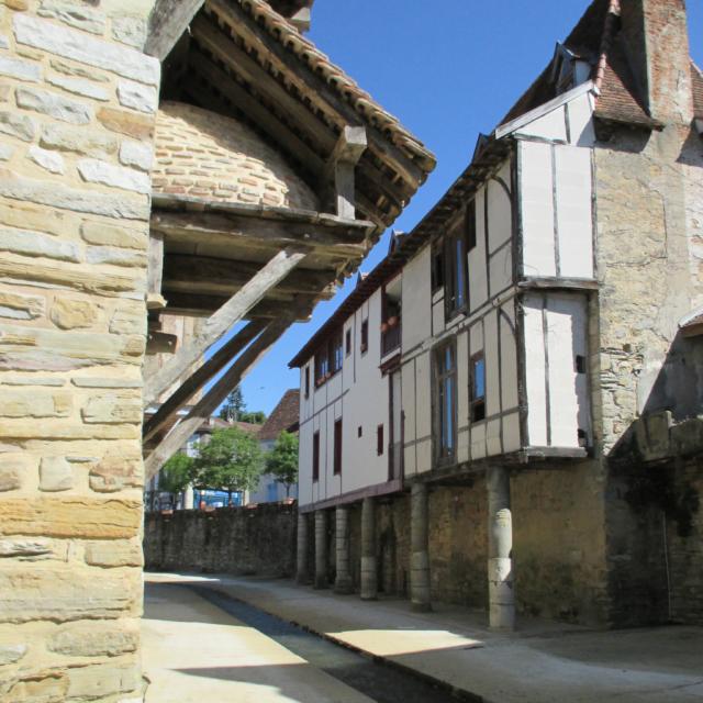 Les bords du Saleys à Salies-de-Béarn