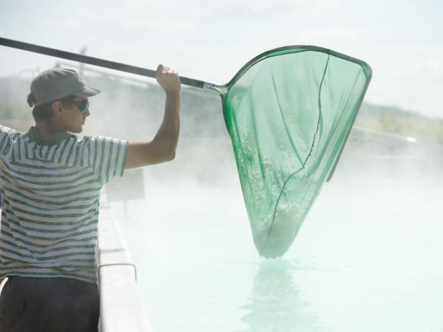 Puisage Fleur De Sel Salines Salies De Bearn