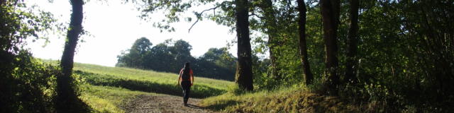 Randonner En Béarn Des Gaves