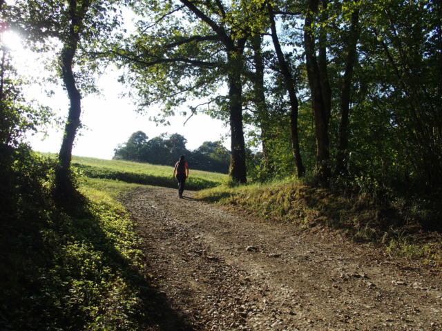 Randonner En Béarn Des Gaves