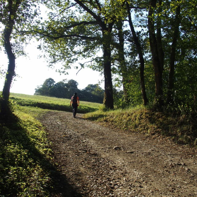 Randonner En Béarn Des Gaves