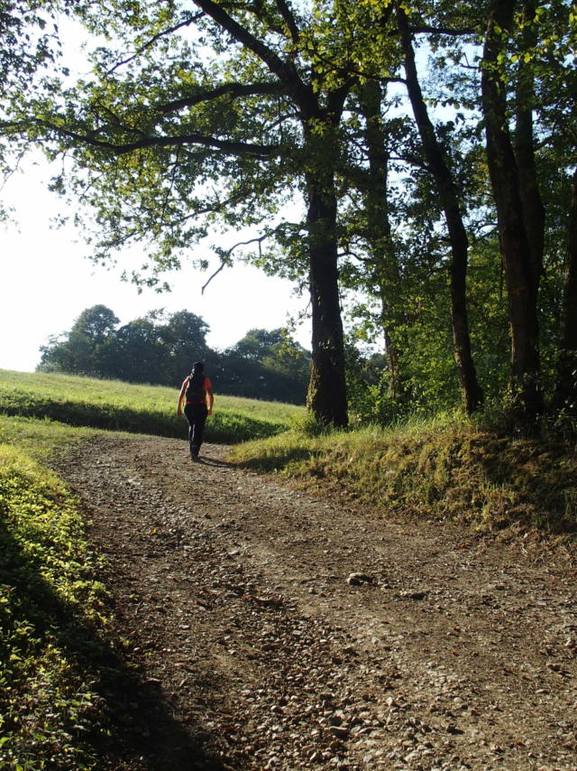 Randonner En Béarn Des Gaves