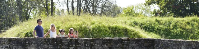 Sur Les Remparts De Navarrenx