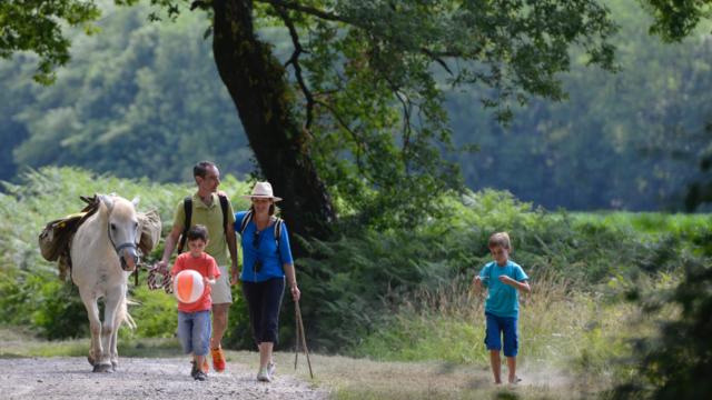 Randonnée avec un pottok Béarn des Gaves