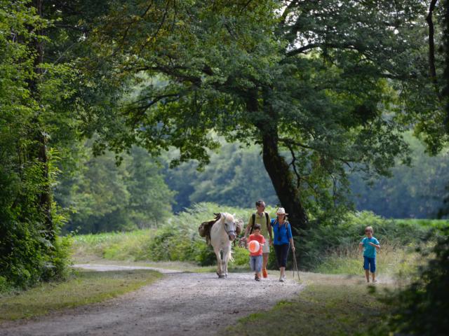 Randonnée avec un pottok Béarn des Gaves