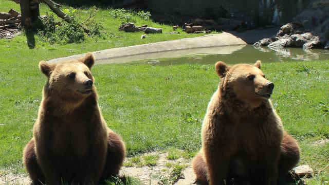 Parc Ours