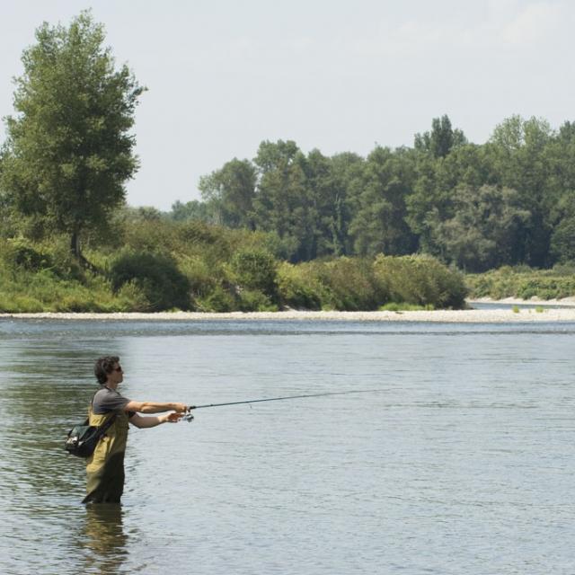 Pêcheur sur le gave de Pau