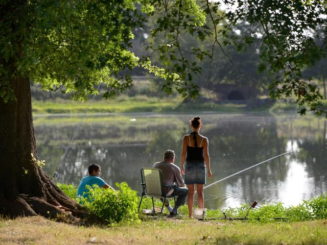 Peche En Famille Lac De La Pounte