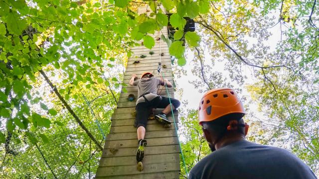 La Forêt des Vert’tiges à Pau