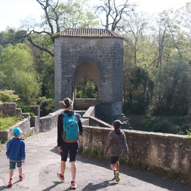 Île de la Glère à Sauveterre-de-Béarn