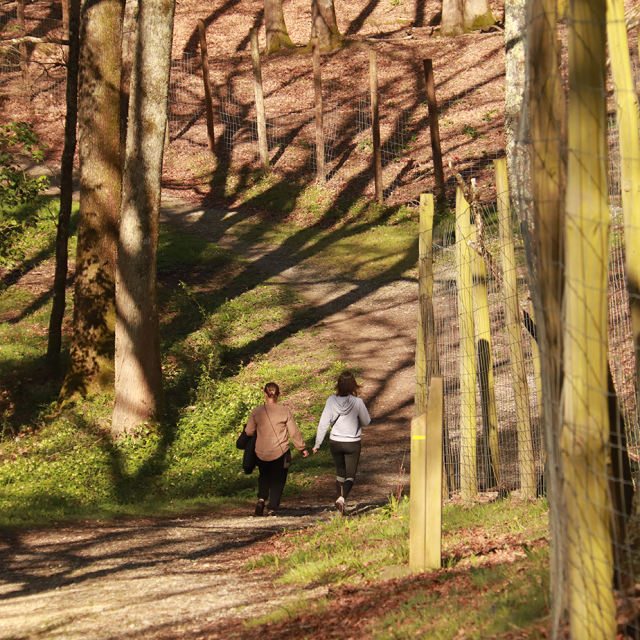 Le pain de sucre à Salies-de-Béarn