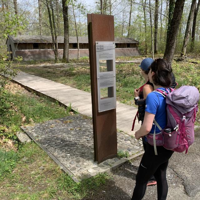 Les chênes têtards - Panneau d'information du camp de Gurs